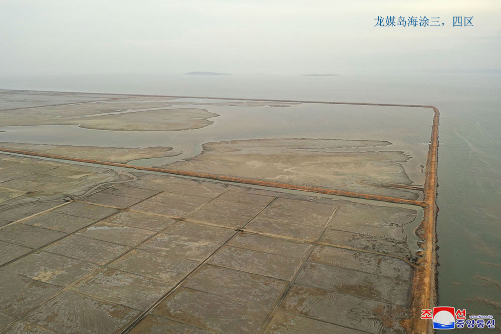 在西海地区建起的海涂