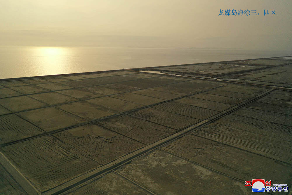 在西海地区建起的海涂