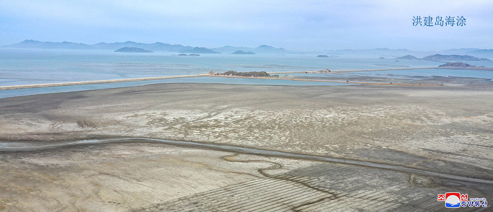 在西海地区建起的海涂