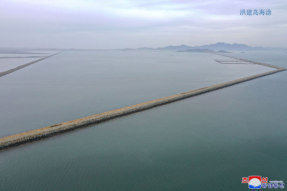 在西海地区建起的海涂