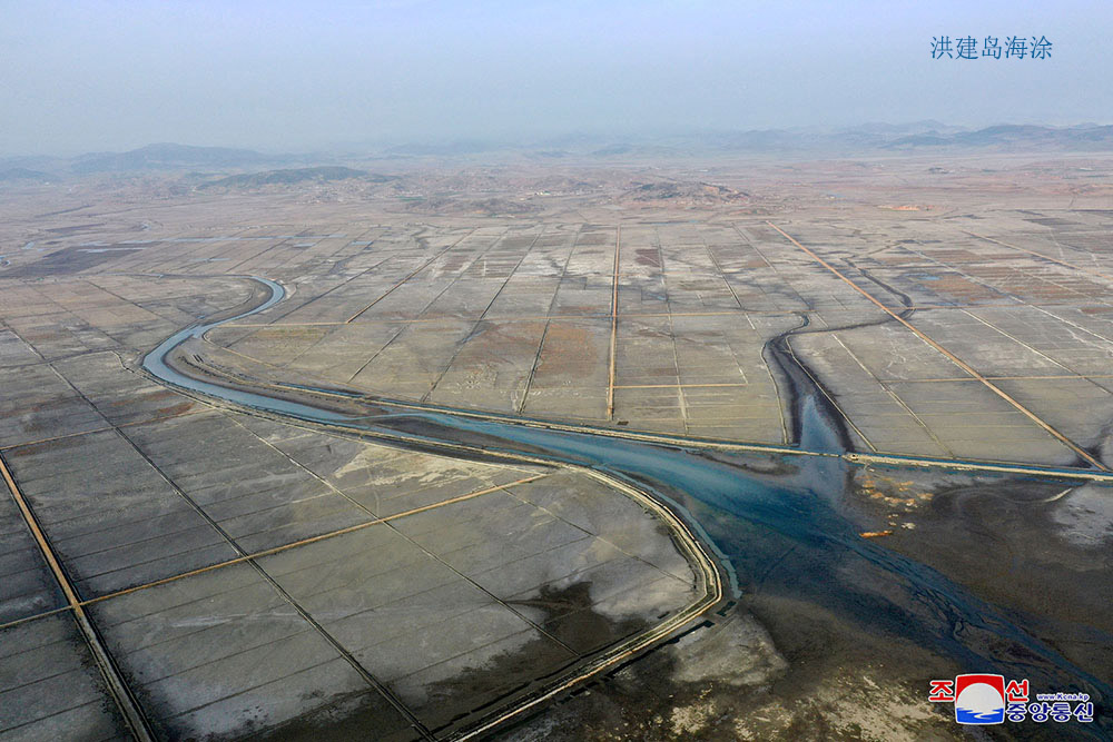在西海地区建起的海涂