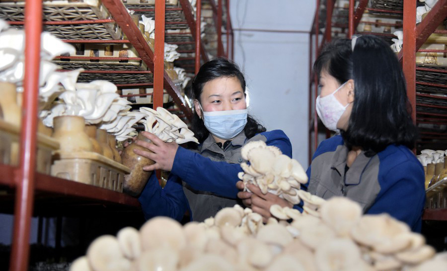 朝鲜女人的工作面貌(1)