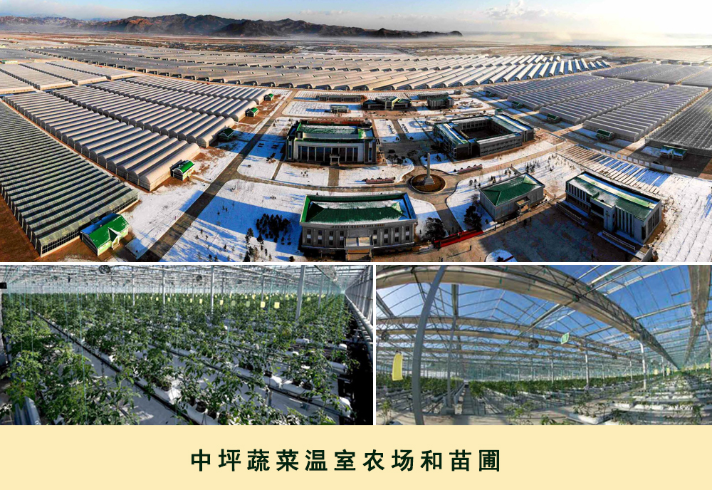 通过相片看到的2019年