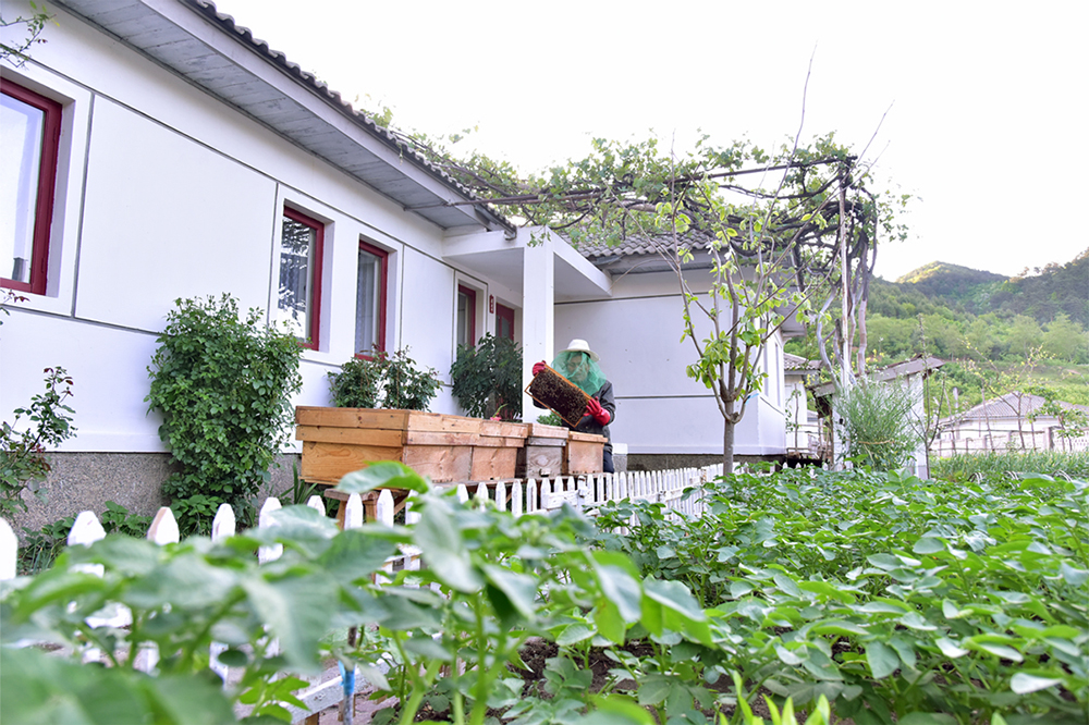 黄津温泉村