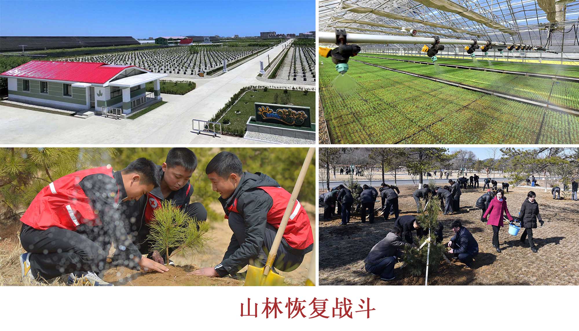 人民的喜悦之情