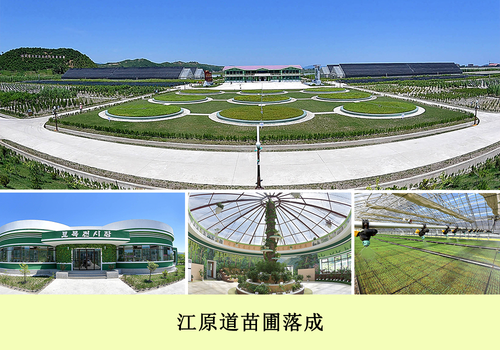 通过相片看到的2018年的朝鲜