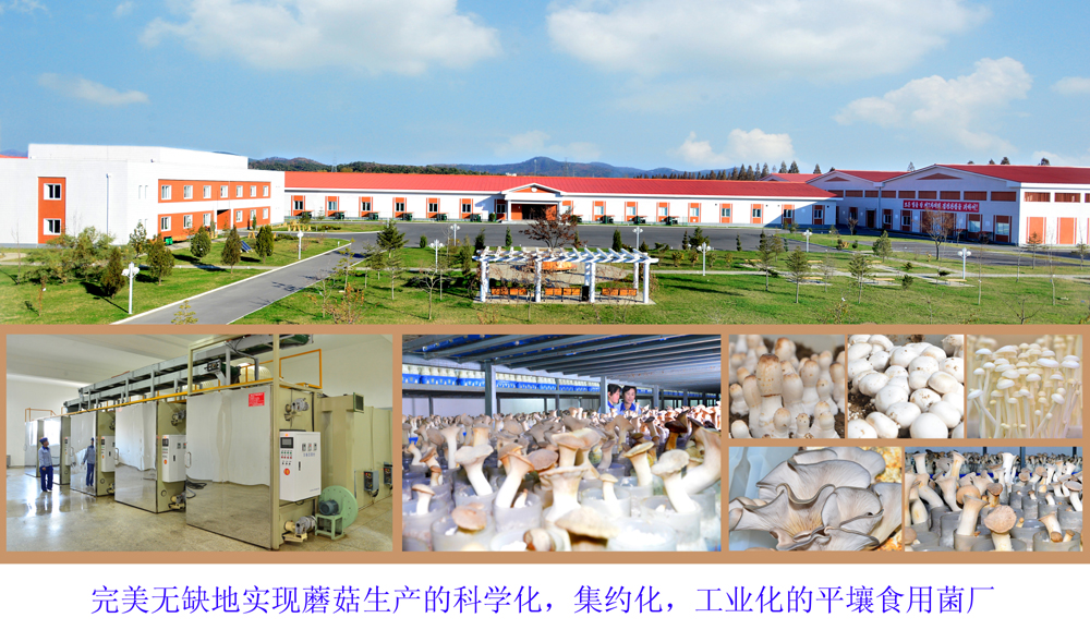 通过相片看到的2017年