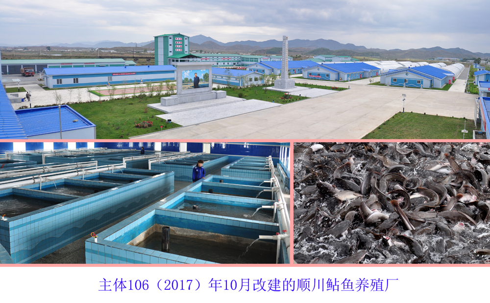 通过相片看到的2017年