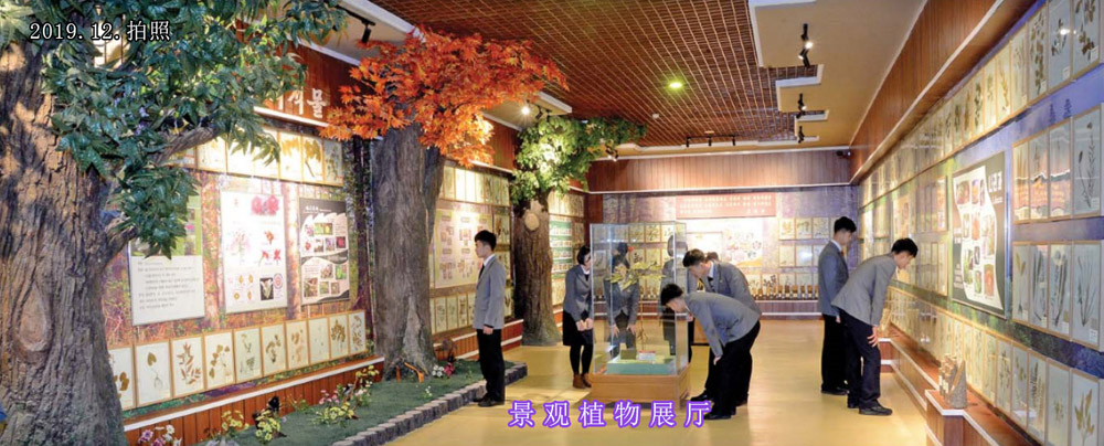 金日成综合大学 自然博物馆