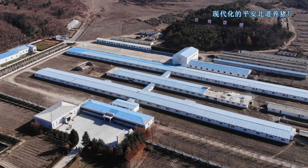 造福于民的2020年(2)