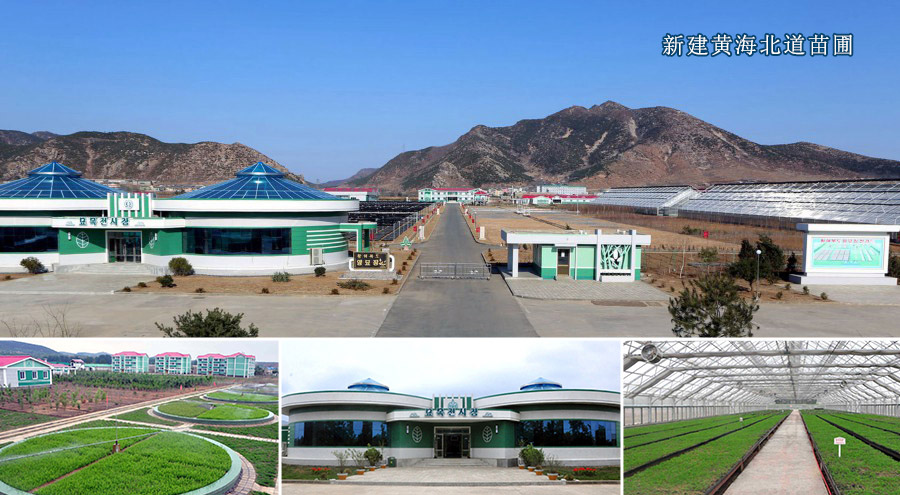 造福于民的2020年(2)
