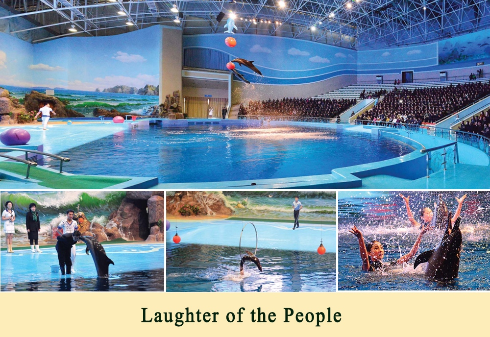 Looking back Successes of DPRK in 2019 through Pictures
