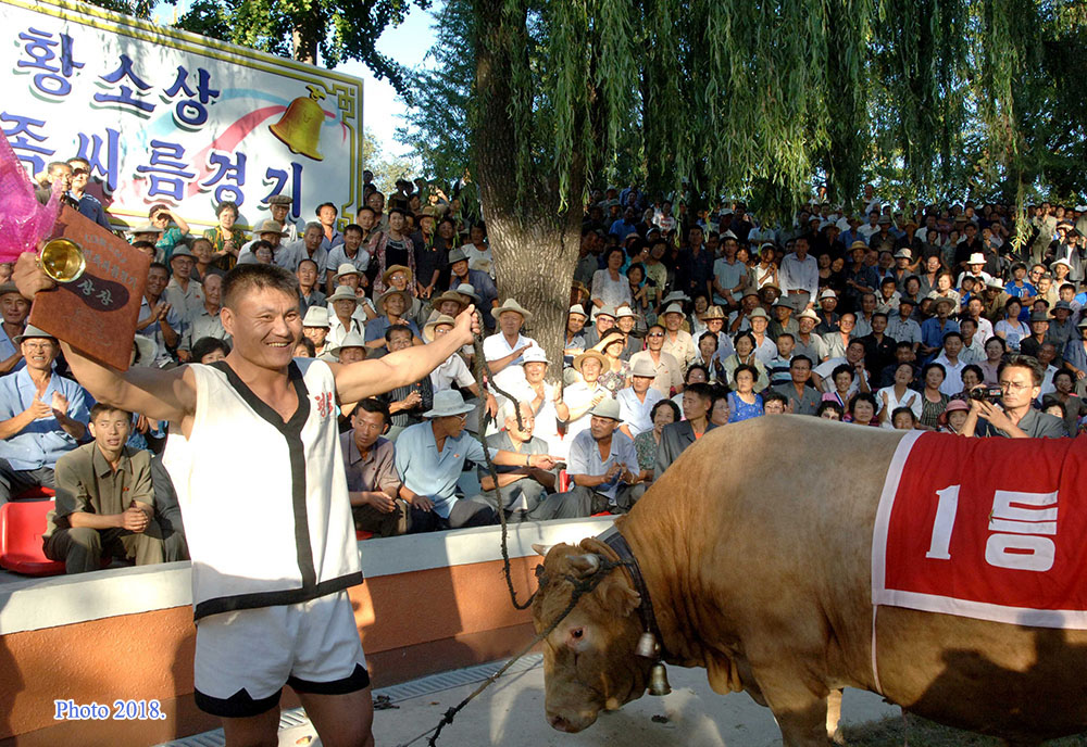 Sirum, lutte coréenne traditionnelle