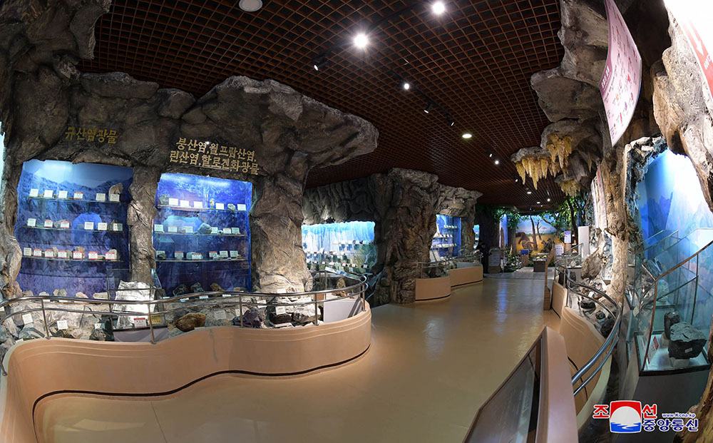 Le musée d’Histoire naturelle de l’universitéKim Il Sung