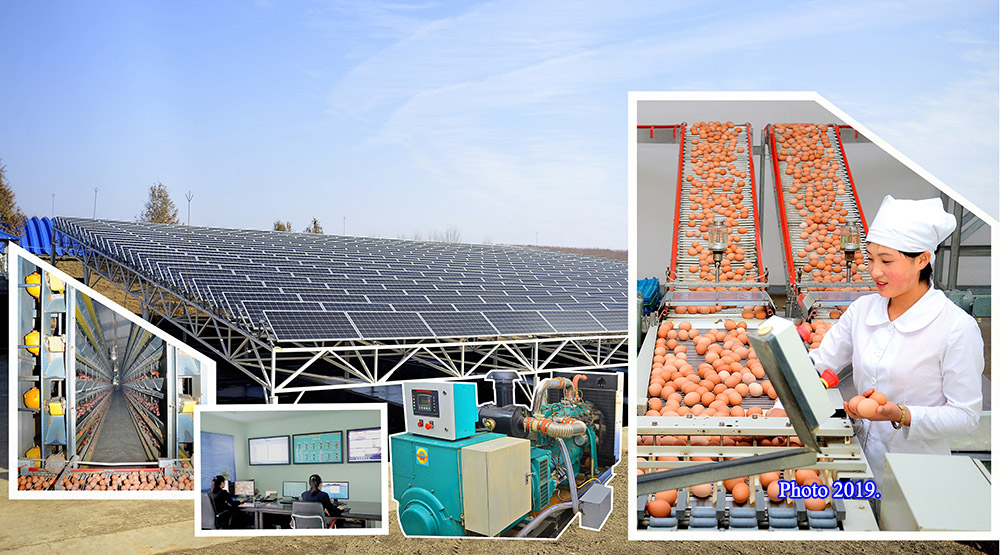 Utilisation éfficace de diverses énergies naturelles