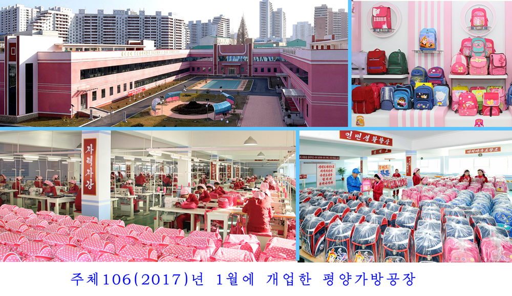 사진으로 본 2017년