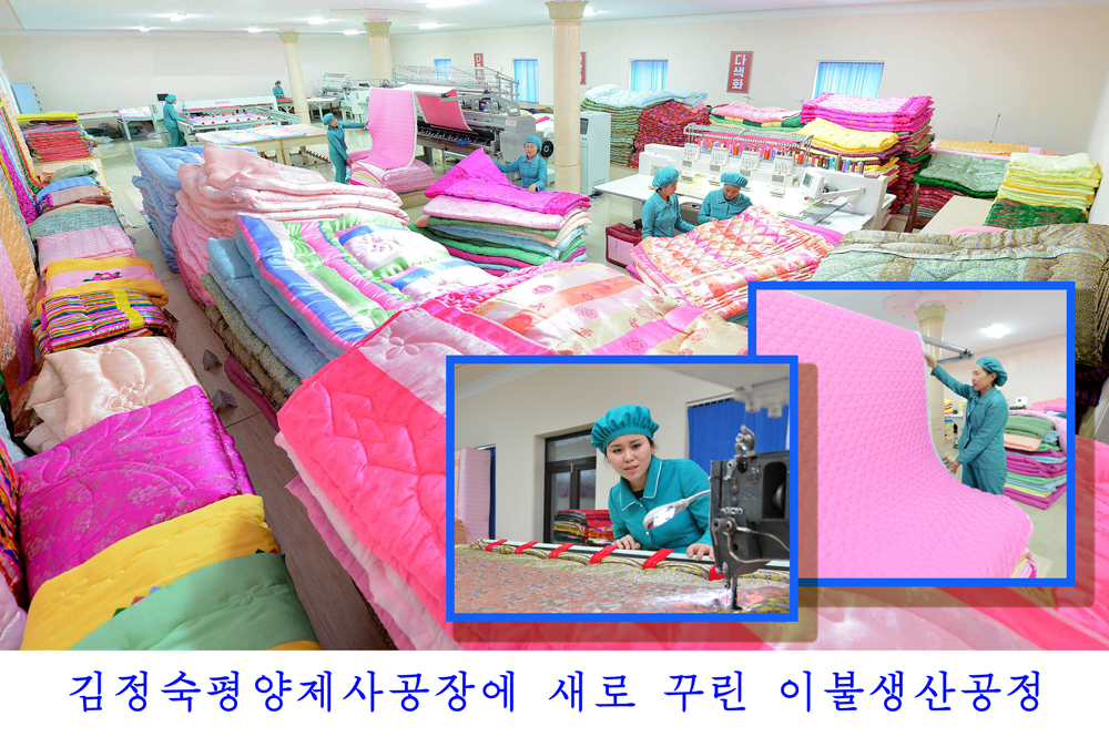 사진으로 본 2017년