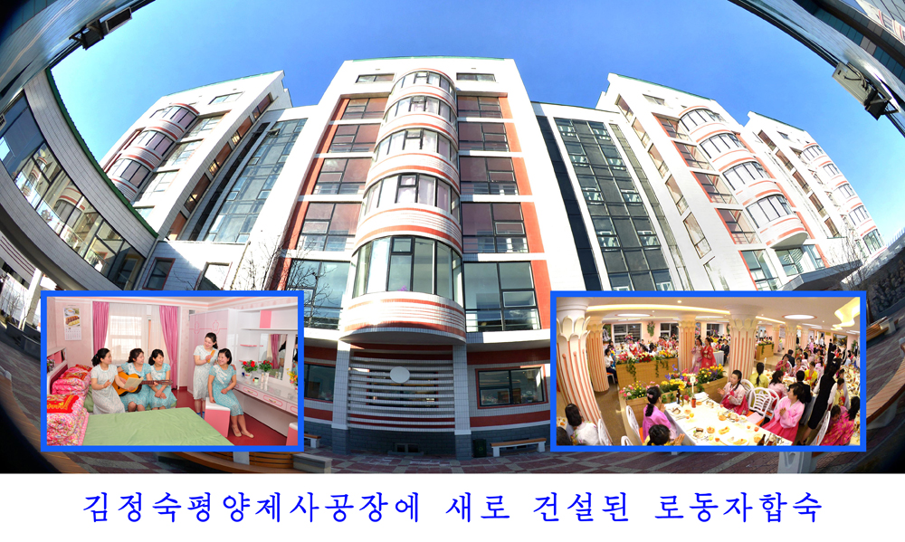 사진으로 본 2017년