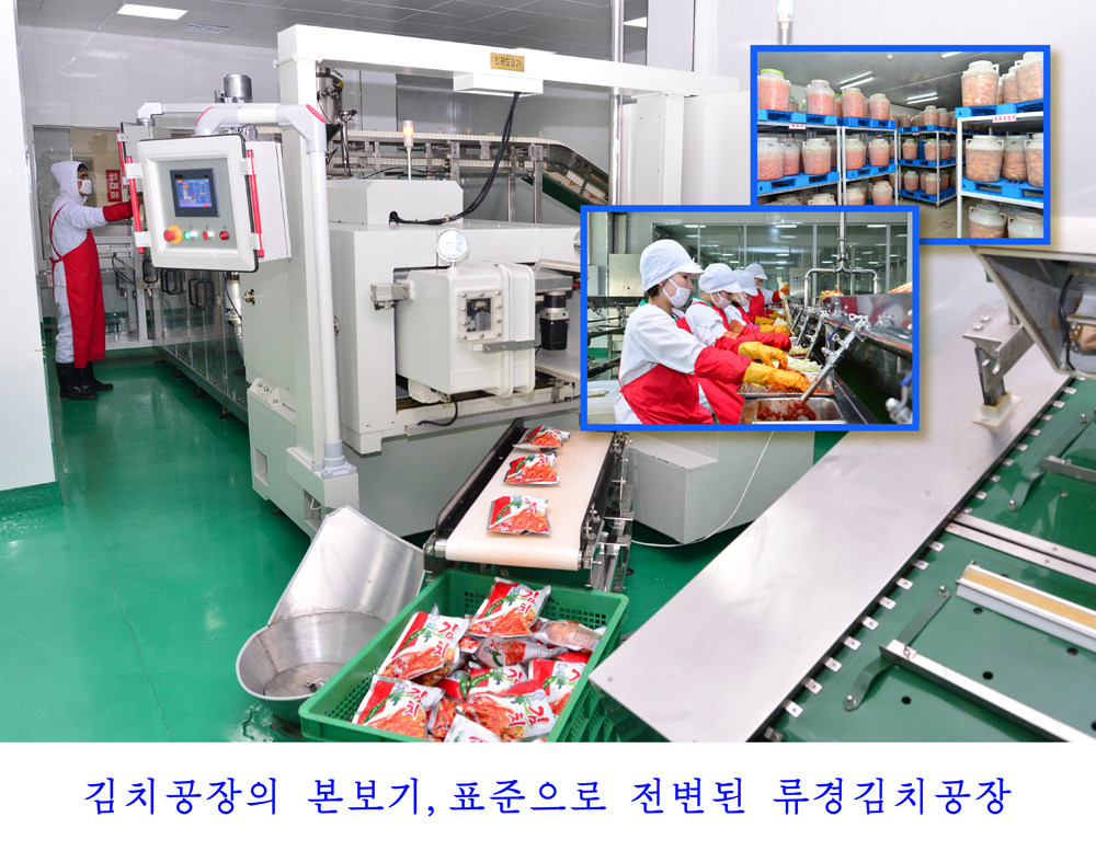 사진으로 본 2017년