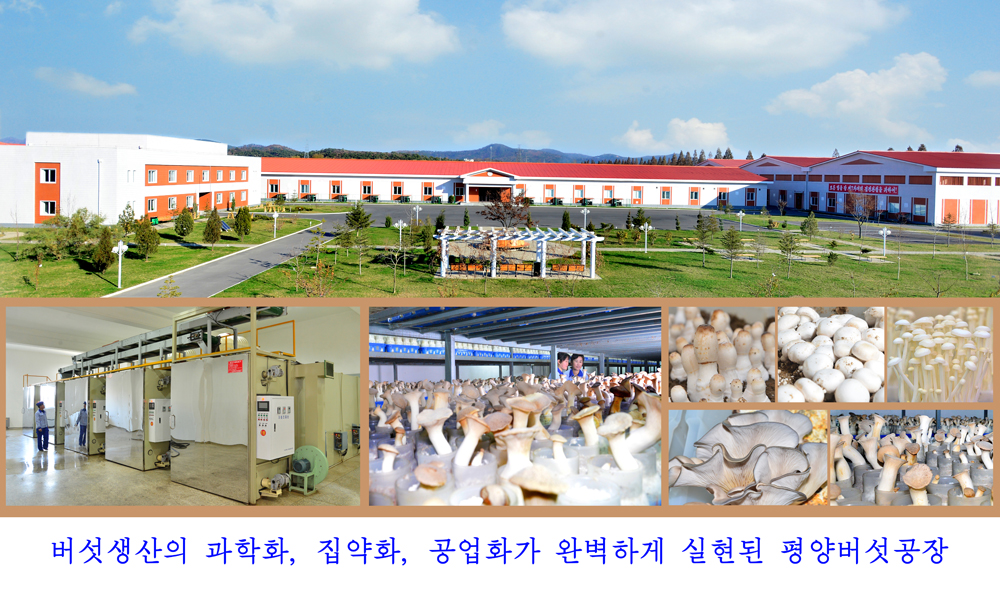 사진으로 본 2017년