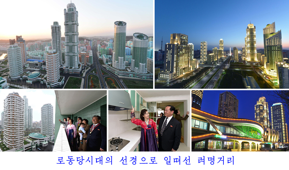 사진으로 본 2017년