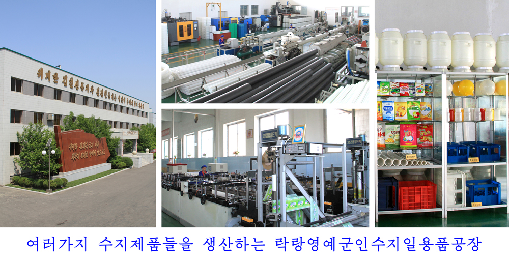 사진으로 본 2017년