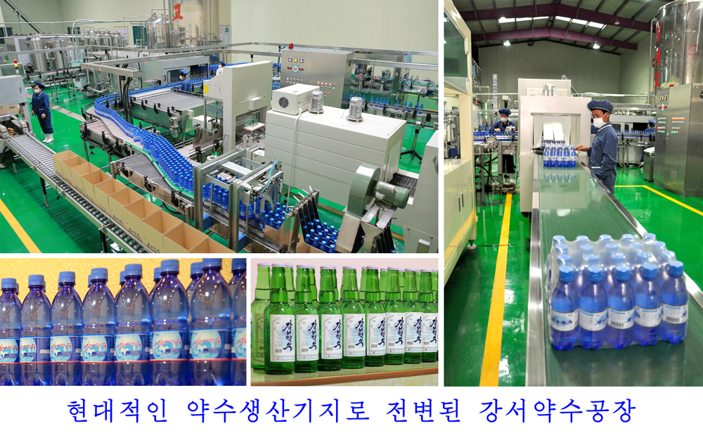 사진으로 본 2017년