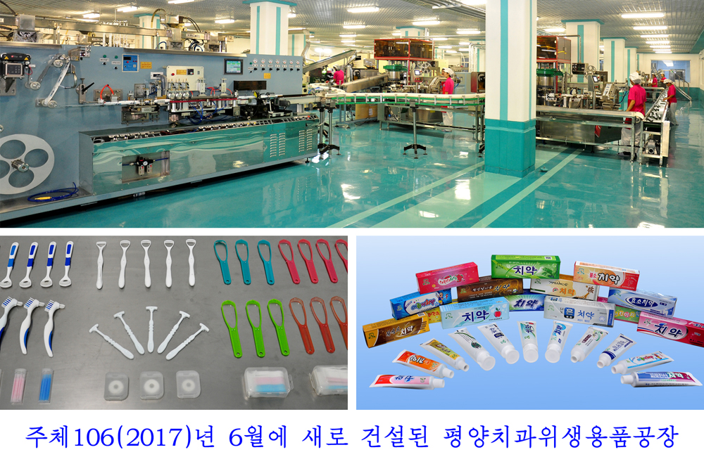 사진으로 본 2017년