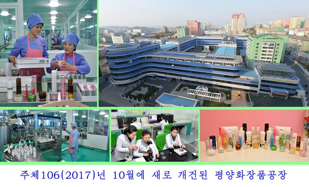 사진으로 본 2017년