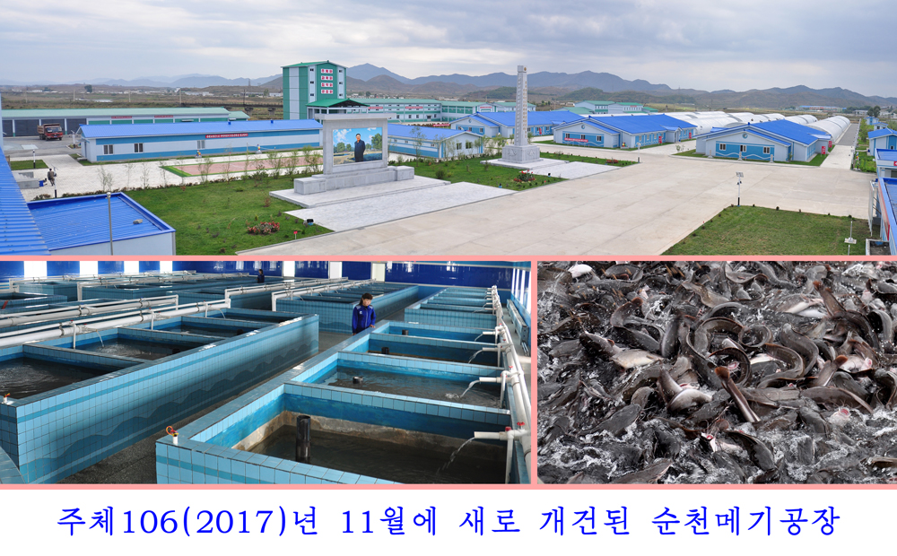 사진으로 본 2017년