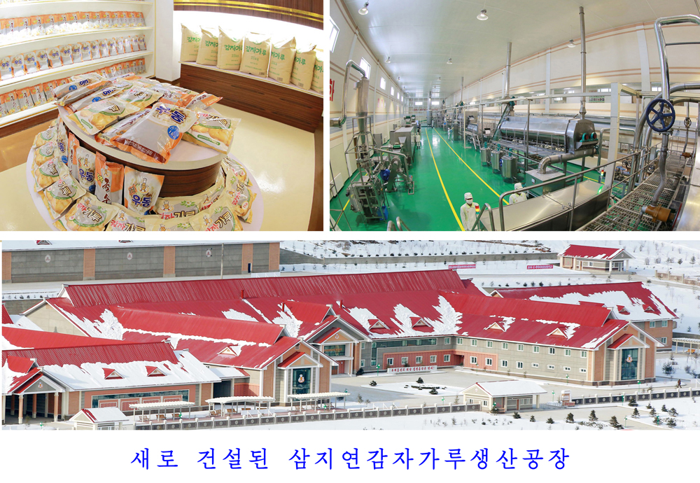 사진으로 본 2017년