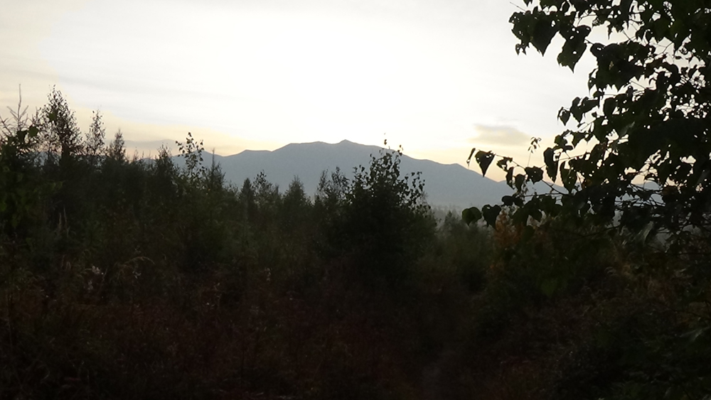 三池渊的自然景物