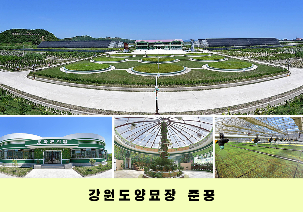 사진으로 본 2018년의 조선