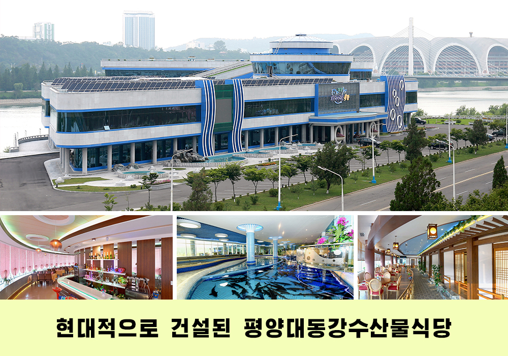 사진으로 본 2018년의 조선