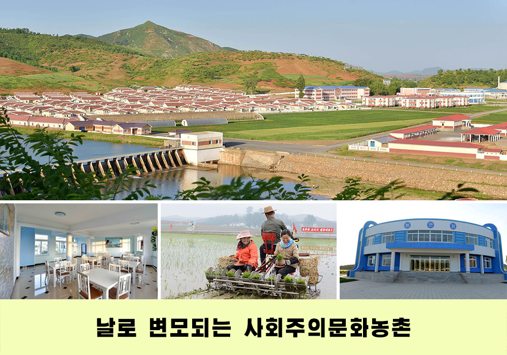 사진으로 본 2018년의 조선