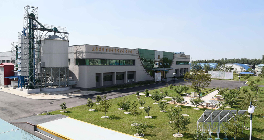 平壤玉米加工厂