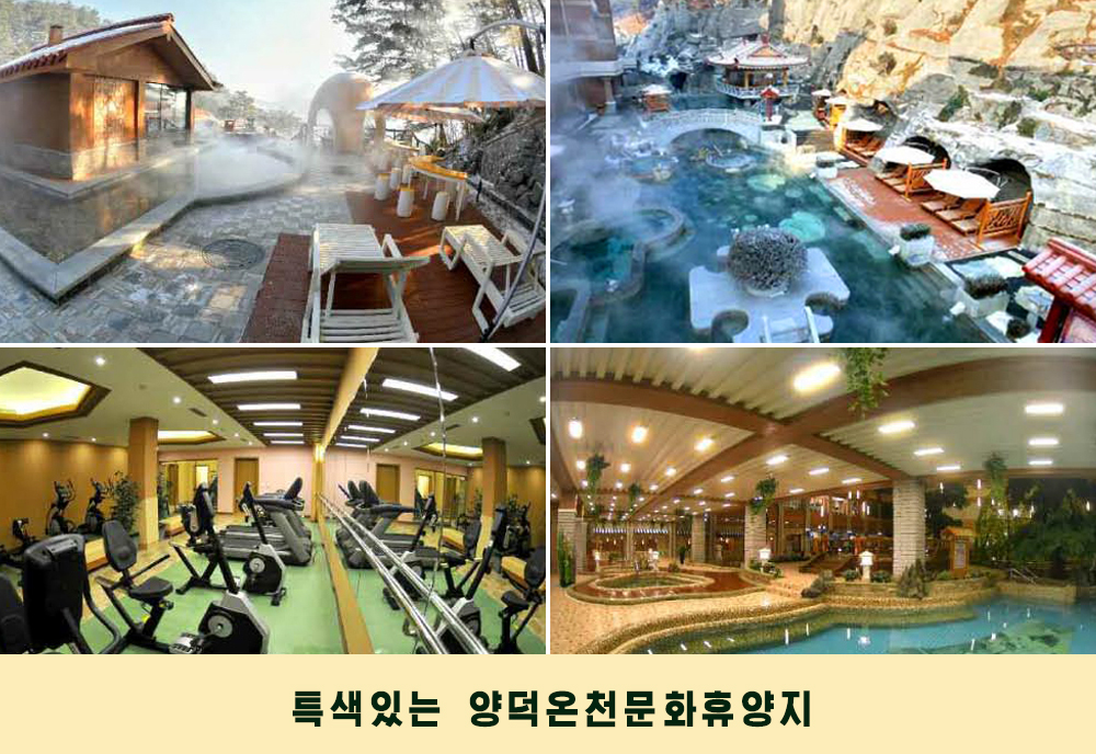 사진으로 본 2019년