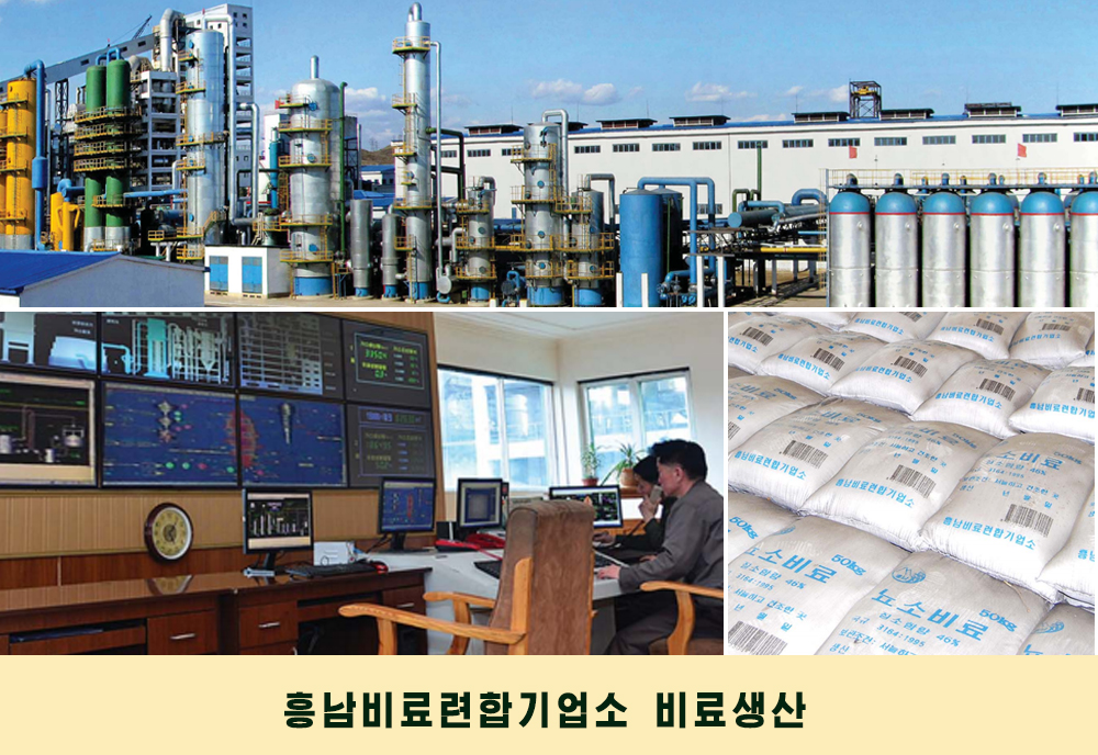 사진으로 본 2019년