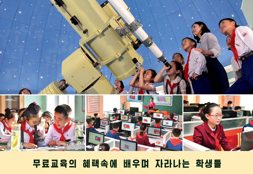 사진으로 본 2019년