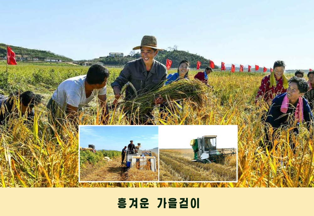 사진으로 본 2019년