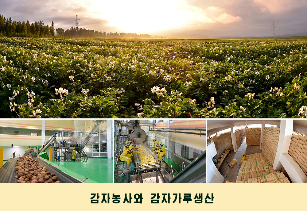 사진으로 본 2019년