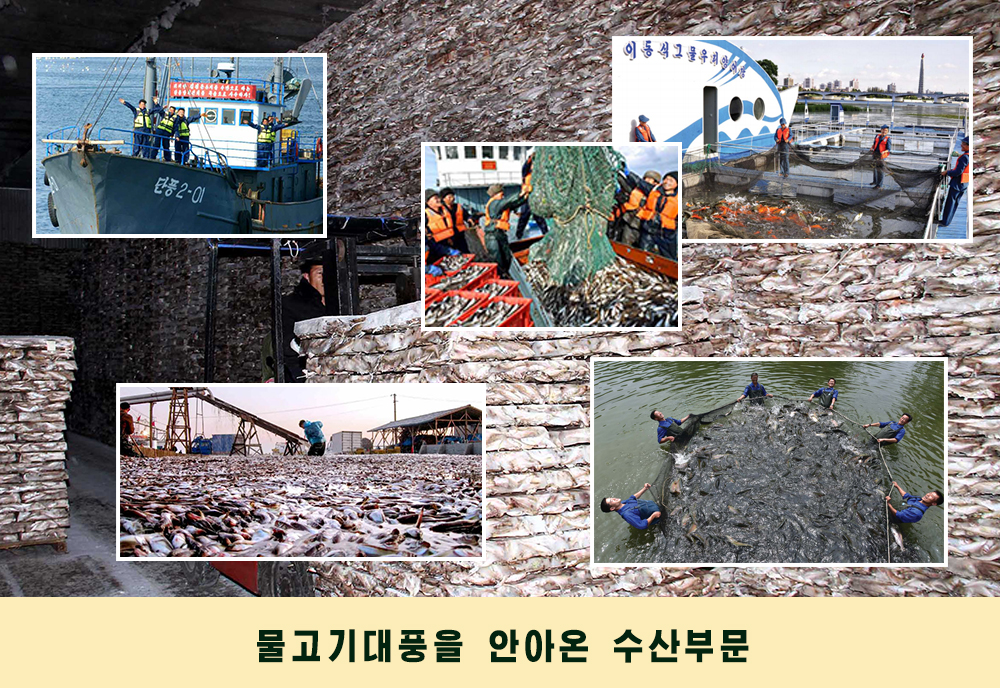 사진으로 본 2019년