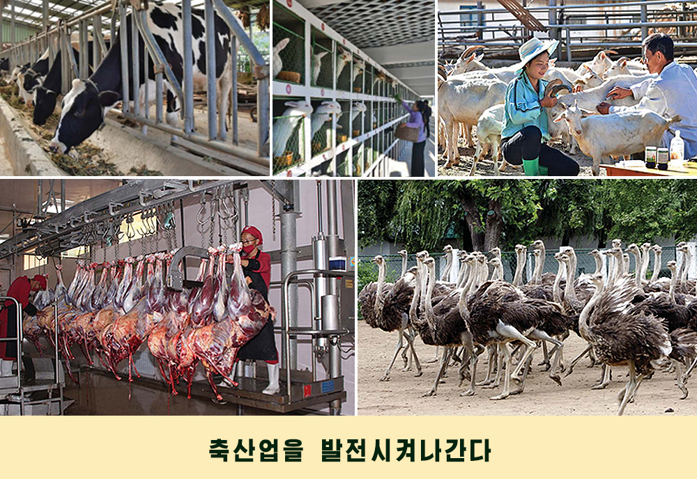 사진으로 본 2019년