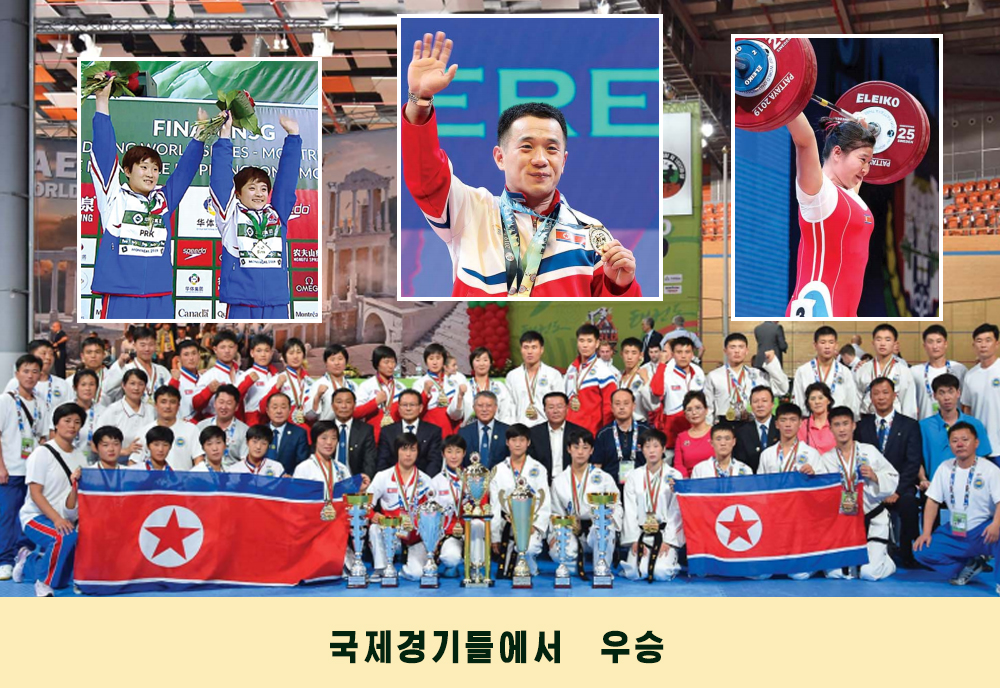 사진으로 본 2019년