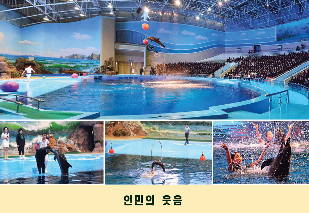 사진으로 본 2019년