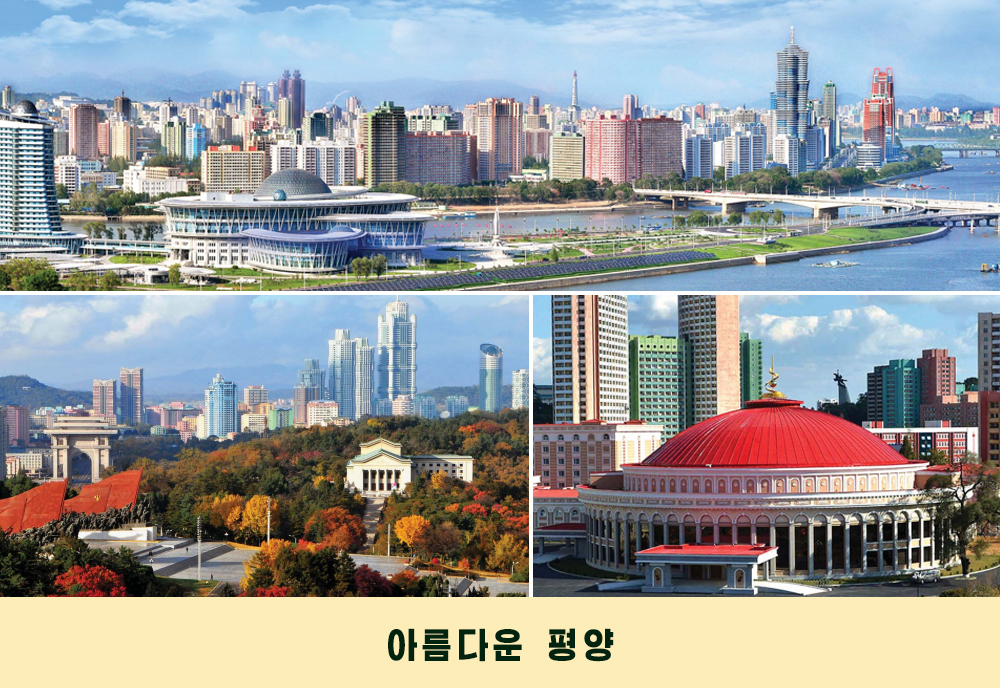 사진으로 본 2019년