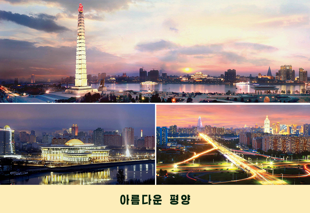 사진으로 본 2019년