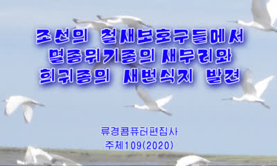 조선의 철새보호구들에서 멸종위기종의 새무리와 희귀종의 새번식지 발견