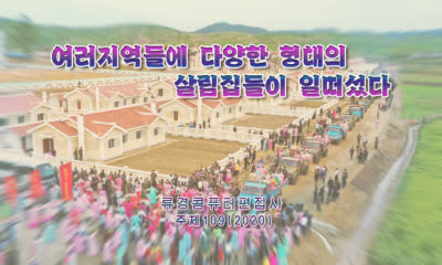여러지역들에 다양한 형태의 살림집들이 일떠섰다