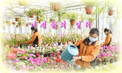 녀성들의 일터 (1)